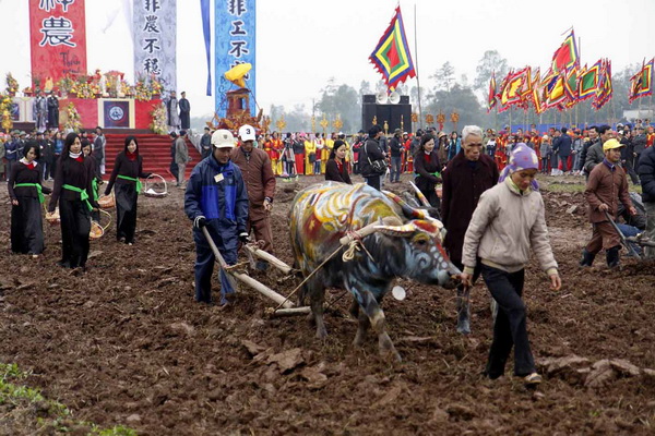 Festivals in Ha Nam